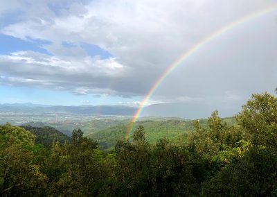 Zona Residenziale Bettona Centro Sant'Antonio - Natura